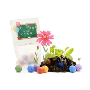 5 Blumenmurmeln im Tütchen zur Einschulung - Du bist 1. Klasse