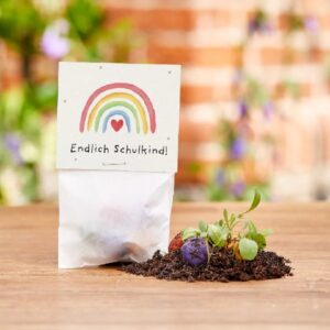 5 Blumenmurmeln im Tütchen zur Einschulung Endlich Schulkind
