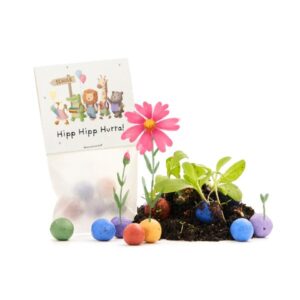 5 Blumenmurmeln im Tütchen zur Einschulung Hip Hip Hurra!
