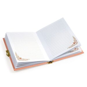 Minico geheimes Tagebuch